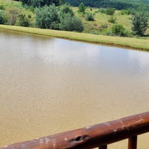 View from Chalets at The Kingfisher Lodge