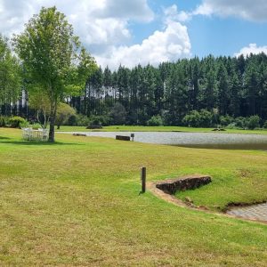 Pond at The Kingfisher Lodge