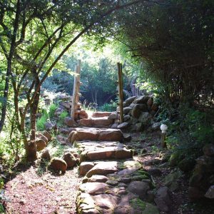 The Kingfisher Country Lodge Grounds