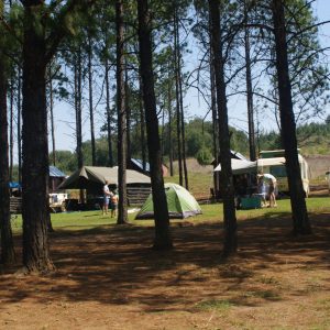 The Kingfisher Lodge Camping Grounds