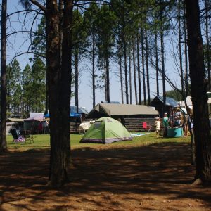 The Kingfisher Lodge Camping Grounds