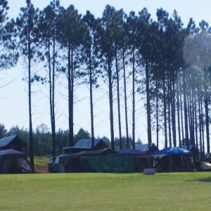 The Kingfisher Lodge Camping Grounds