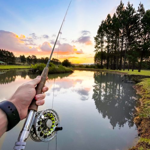 Fishing at The Kingfisher Lodge